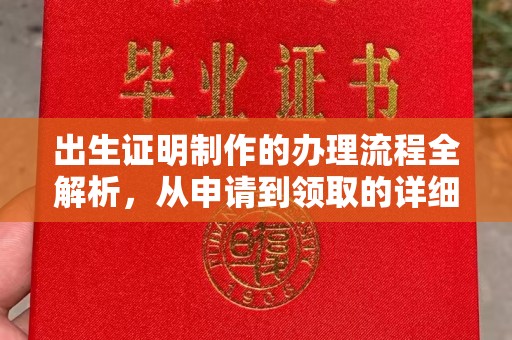 贵南出生证明制作的办理流程全解析，从申请到领取的详细指南